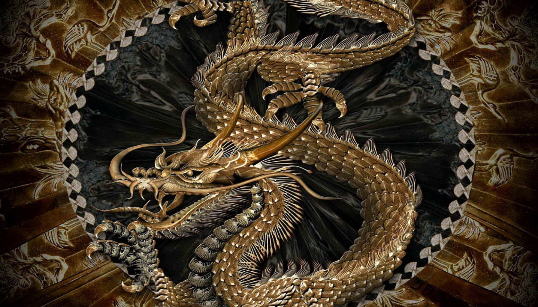 Header Background Image